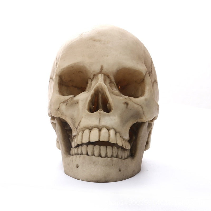 1:1 Menselijk Hoofdschedel standbeeld voor Thuisdecoratie Hars Figuren Halloween Decoratie Sculptuur Medische Onderwijs Schets Model Craft
