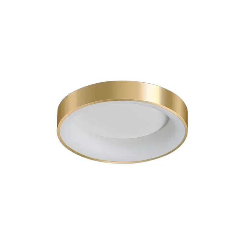 Moderne LED Plafondlamp – Dimbare Gouden Opbouwlamp voor Master Bedroom, Studie, Balkon en Gang