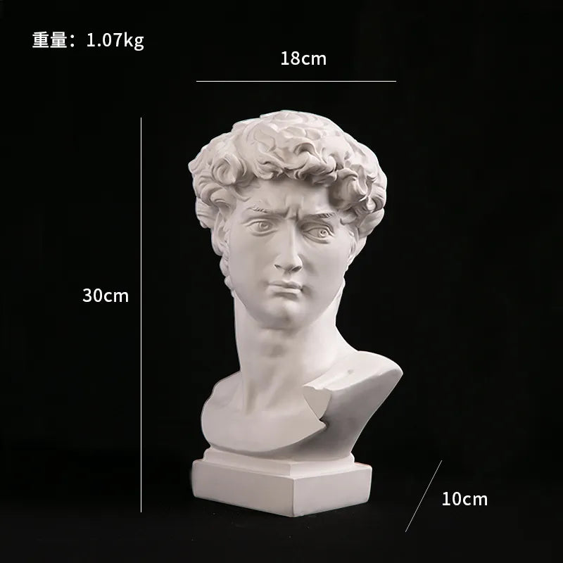 Europese Woondecoratie David Hoofd Hars Beelden Beelden Woondecoratie Moderne Abstracte Kunst Buste Beeldhouwkunst Schets Oefening
