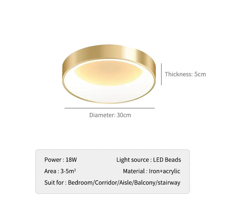 Moderne LED Plafondlamp – Dimbare Gouden Opbouwlamp voor Master Bedroom, Studie, Balkon en Gang