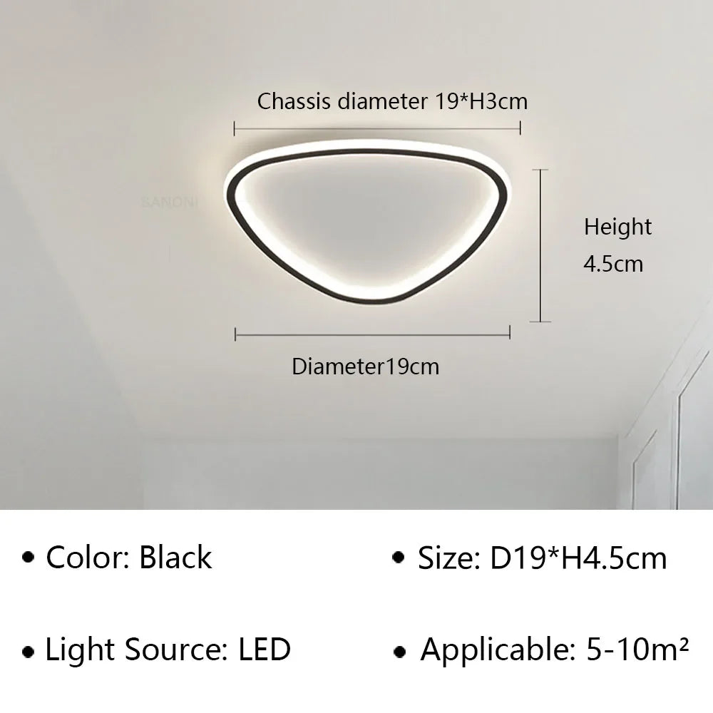 Moderne LED Plafondlamp - Elegante Ovale Ontwerp voor Veelzijdige Binnenverlichting