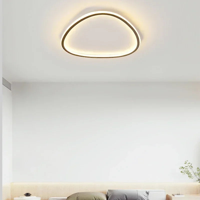 Moderne LED Plafondlamp - Elegante Ovale Ontwerp voor Veelzijdige Binnenverlichting