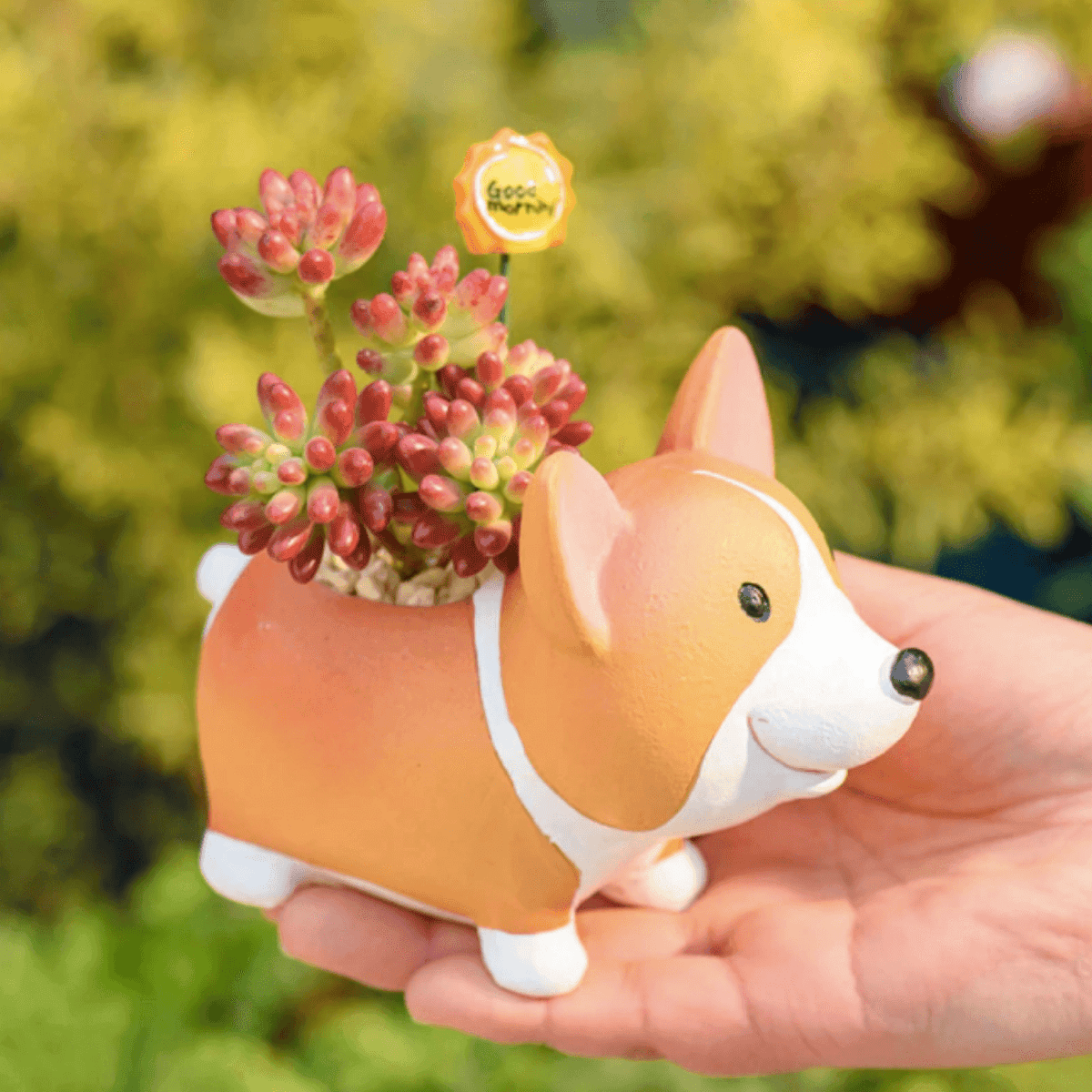 Hars Corgi Mini Bloempot